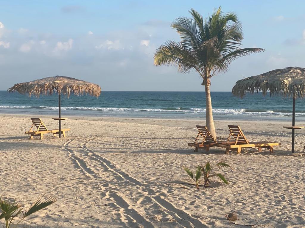 Segal Salalah-Forest Island-Hawana Exteriör bild