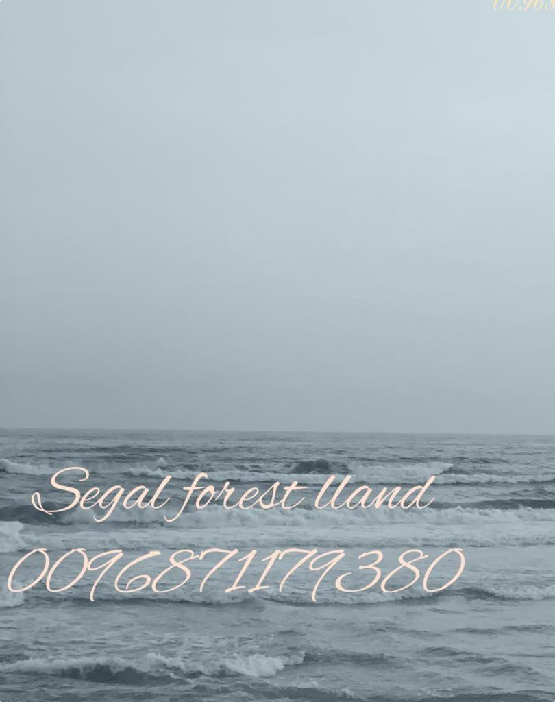 Segal Salalah-Forest Island-Hawana Exteriör bild